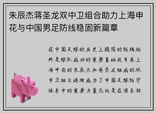 朱辰杰蒋圣龙双中卫组合助力上海申花与中国男足防线稳固新篇章